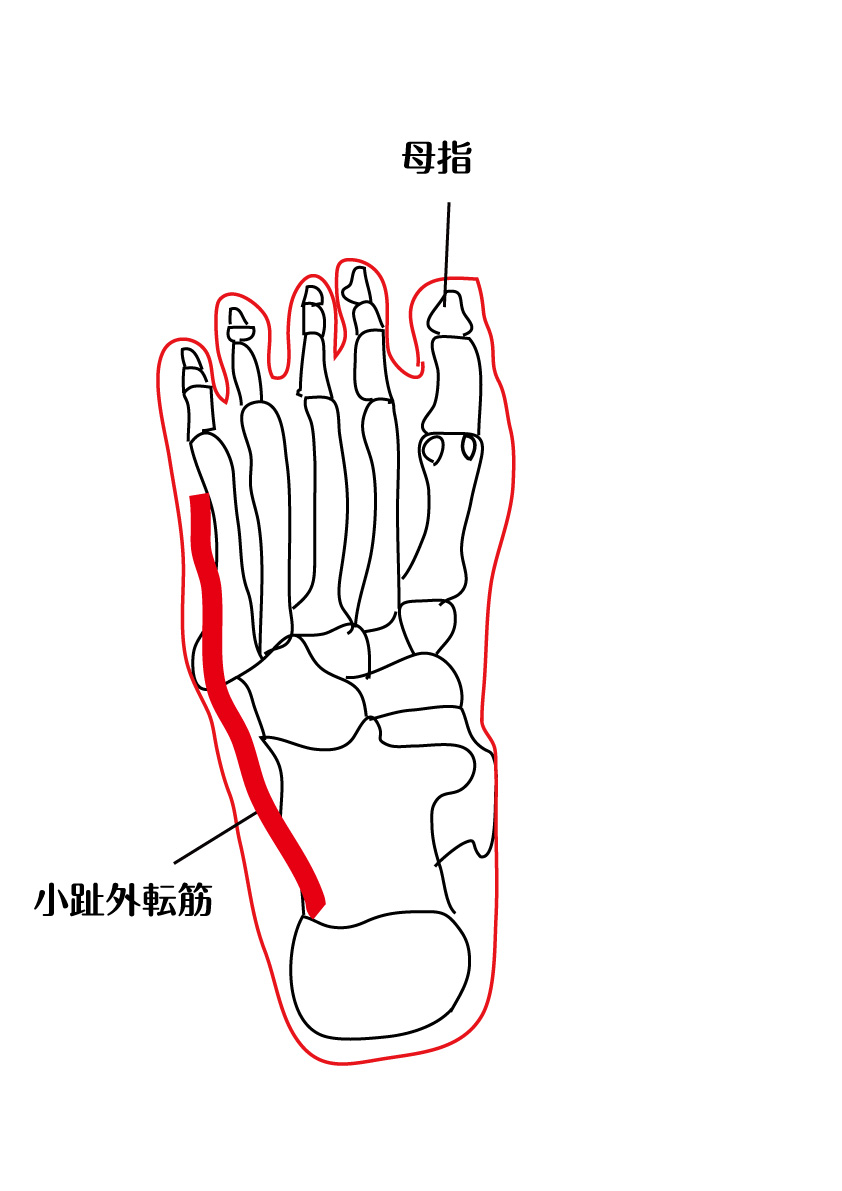 足 の 側面 が 痛い 外側